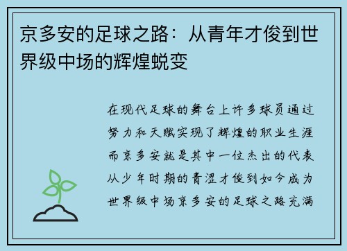 京多安的足球之路：从青年才俊到世界级中场的辉煌蜕变