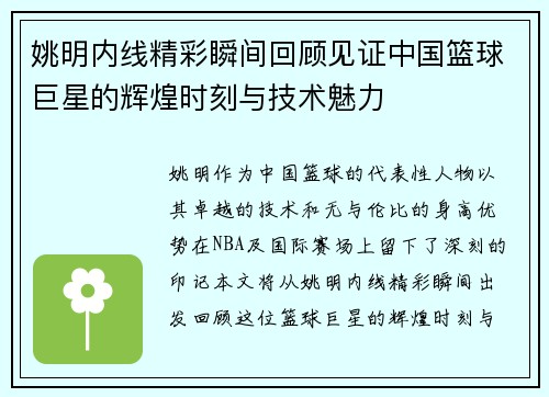 姚明内线精彩瞬间回顾见证中国篮球巨星的辉煌时刻与技术魅力