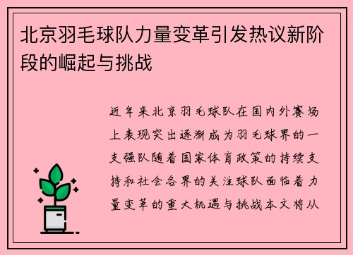 北京羽毛球队力量变革引发热议新阶段的崛起与挑战