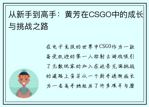 从新手到高手：黄芳在CSGO中的成长与挑战之路