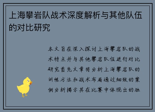 上海攀岩队战术深度解析与其他队伍的对比研究